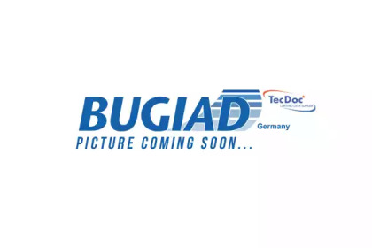 Ремкомплект BUGIAD BSP25030