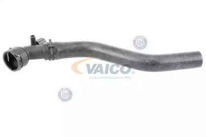 Шланг радиатора VAICO V10-3205