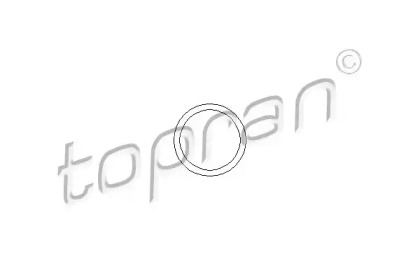 Прокладка корпуса термостата HANS PRIES/TOPRAN 202326