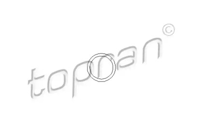 Кольцо топливной форсунки HANS PRIES/TOPRAN 107316