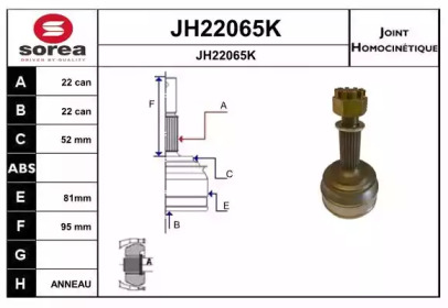 Шарнирный комплект SNRA JH22065K