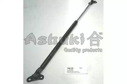 Газовая пружина ASHUKI T901-01
