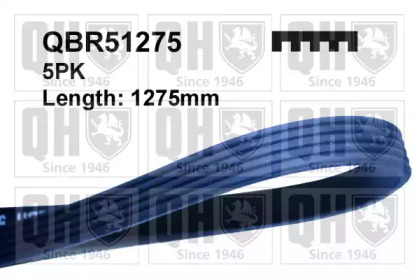 Ремень QUINTON HAZELL QBR51275