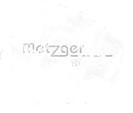 Бачок расширительный METZGER 2141020